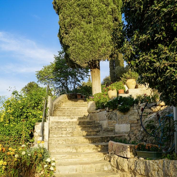 Family terraces and cafés for calm evenings in Paris
